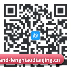 iOS 苹果生态原生版 二维码